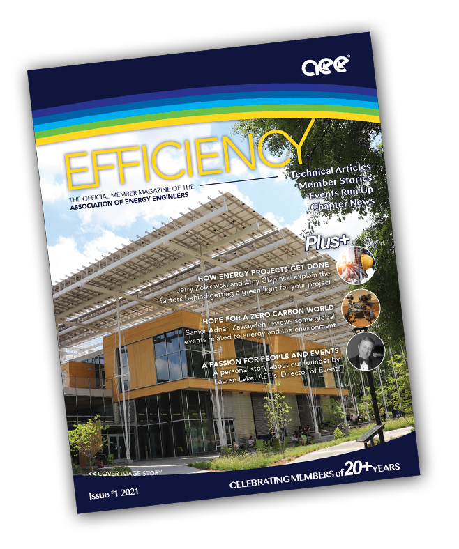 Efficiency Magazine #1