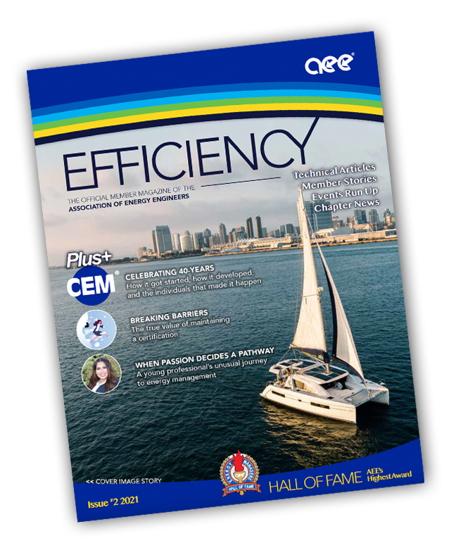 Efficiency Magazine #2