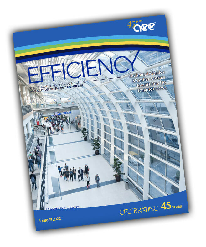 Efficiency Magazine #3